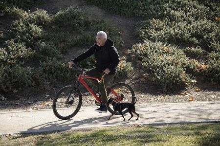 Cesar rides a bike with Alpha on a leash. (National Geographic)