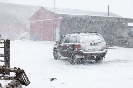Dr. Pol drives back to the clinic after a farm call in almost white-out conditions. (National Geographic/Mike Stankevich)