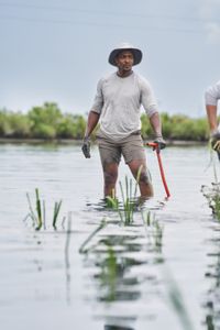 Anthony Mackie wading in the Bayous near Violet, Louisiana, whilst helping the Coalition to Restore Coastal Louisiana (CRCL). The bayous are fed by the Mississippi River. (National Geographic/Brian Roedel)