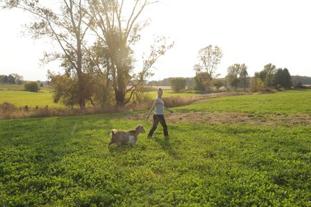 Nono, the Pol family's goat, walks around the Pol family's farm with Beth Pol. (National Geographic)