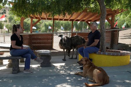 Cesar Millan talking to a client at the DPC. (National Geographic)