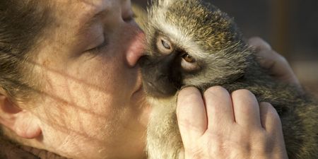 Belinda kissing a vervet monkey. (Big Wave Productions)