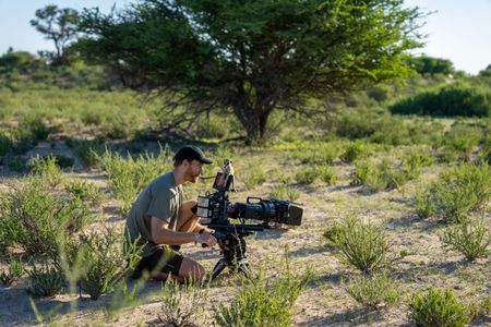 A meerkat uses cinematographer Adam Clarke as a vantage point to look out for predators. Meerkats at the Kalahari Research Centre are used to the presence of scientists, so see people as just another part of the landscape. (National Geographic/Emilie Ehrhardt)