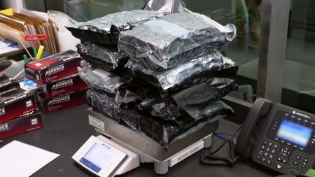 Multiple packages of marijuana are weighed on a scale after they were discovered inside of a traveler's luggage in Newark, N.J. (National Geographic)