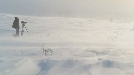 Wildlife photographer Bob Landis films in Yellowstone National Park. (National Geographic/Rick Smith)