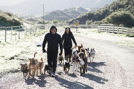 Cesar and a Dog Psychology Center animal handler walking the dogs. (National Geographic)