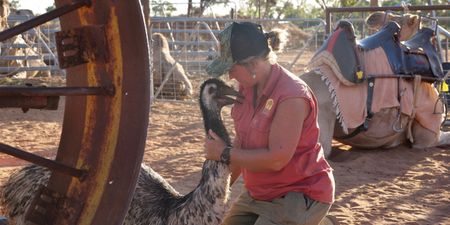 Petah knelt down beside Toto the emu. (Big Wave Productions)