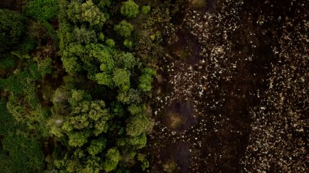 Birds eye view of bog near Croghan Hill. (2023 BOG PEOPLE SEASON ONE INC.)