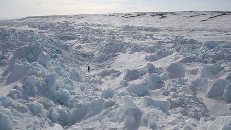 Sarah-McNair Landry walking through a snowy lanscape.  (photo credit: National Geographic /Sarah McNair-Landry)
