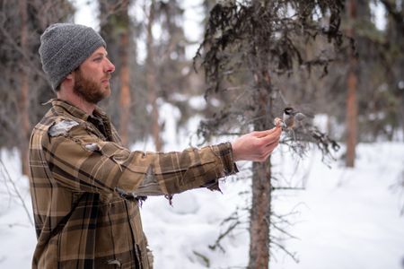 Johnny Rolfe holds out a piece of meat as a chickadees swoops in and takes it. (BBC Studios Reality Production/Patrick Henderson)