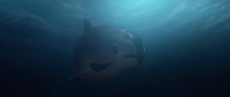 Vaquita underwater swimming. (photo credit: National Geographic)