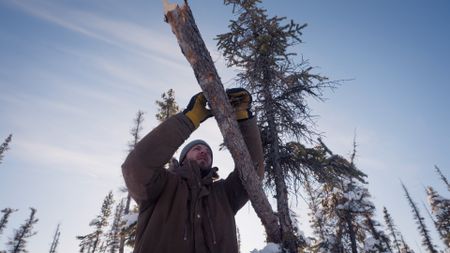 Johnny Rolfe sets marten traps one last time before the trapping season is over. (BBC Studios/Charlie Beck)