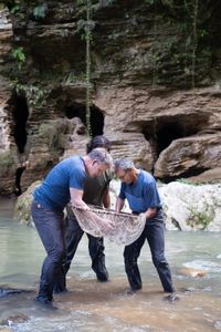 Puerto Rico - Gordon Ramsay (L), Jorge (center), and Ilias (R) fish for shrimp with a large net in a river in Puerto Rico. (Credit: National Geographic/Justin Mandel)