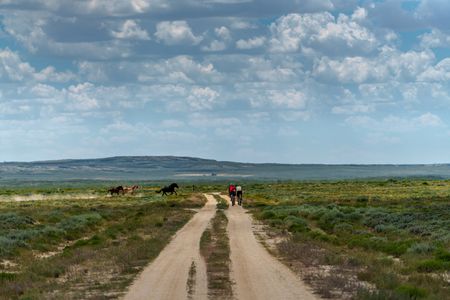 Alex Honnold and Tommy Caldwell riding along dirt road with wild horses running past.  (National Geographic/Taylor Shaffer)