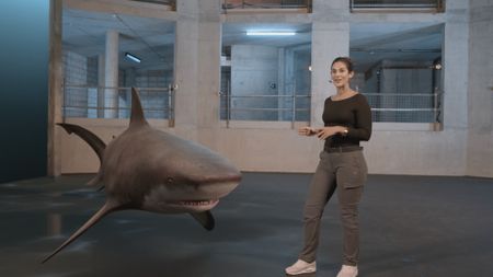 Dr. Diva Amon standing next to a GFX  Bull Shark whilst being in the shark studio lab. (National Geographic)