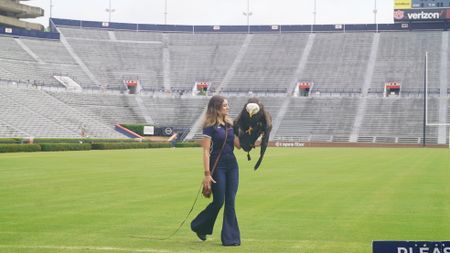 Raptor trainer, Amanda Sweeney, holds Independence, Auburn's honorary War Eagle during flight training. (National Geographic for Disney)
