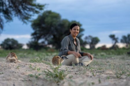 Liz Bonnin watches a meerkat gang emerge from their burrow at sunrise. (National Geographic/Emilie Ehrhardt)