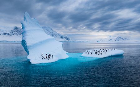 Two small groups of Gentoo penguins stand on an iceberg in the bay. (credit: National Geographic/Bertie Gregory)