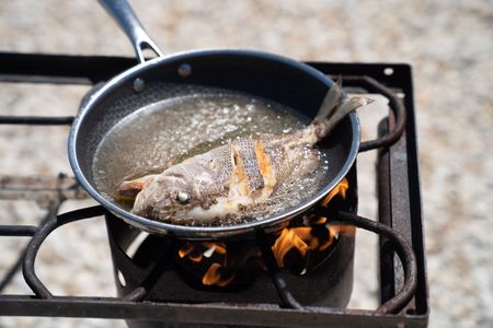 The fish that Gordon Ramsay and Sheena are cooking.(National Geographic/Justin Mandel)