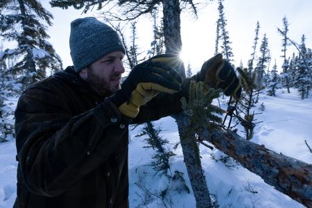 Johnny Rolfe sets a conibear trap on a tree before the trapping season comes to an end. (BBC Studios Reality Productions, LLC/Tyler Colgan)