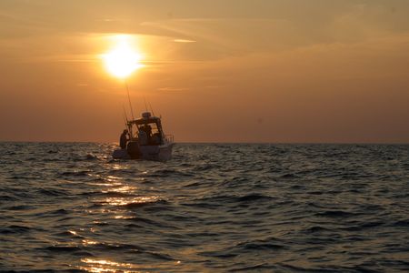 The team's boat floats on the horizon at sunset, fishing rods cast, waiting to catch a baby white shark. (National Geographic/Brandon Sargeant)