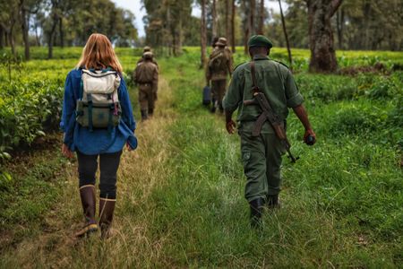 Mariana van Zeller heads into the forest with rangers in search a gorilla family in the Democratic Republic of the Congo. (National Geographic for Disney)