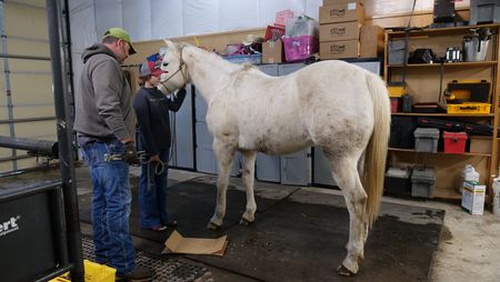 Dr. Ben Schroeder talks with handler Abbie Walbuam about her horse Big Jake, who is having problems with his hoof. (National Geographic)