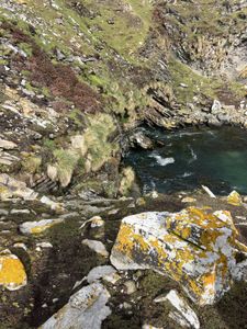 A small cove at the foot of a rockhopper colony.  (credit: National Geographic/Marina Hui)