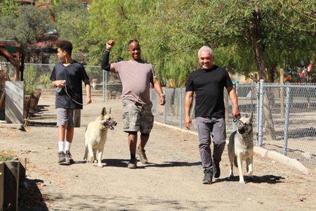 Cesar, Brandon, and Jackson walking with dogs. (National Geographic)