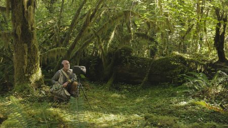 Acoustic ecologist, Gordon Hempton, records natural sounds in the Hoh Rainforest. (credit: National Geographic/Andrew Studer)