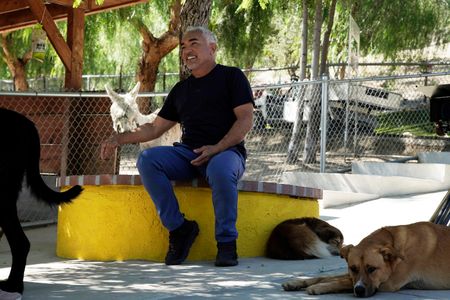 Cesar Millan talking to a client at the DPC. (National Geographic)