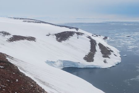 Mysterious penguin remains are discovered in Lamplugh Island, a place beyond the reach of these short-legged creatures. (Credit: Steven Emslie)