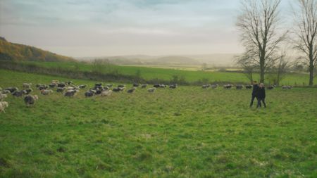 Antoni Porowski and Florence Pugh help herd sheep. (National Geographic)