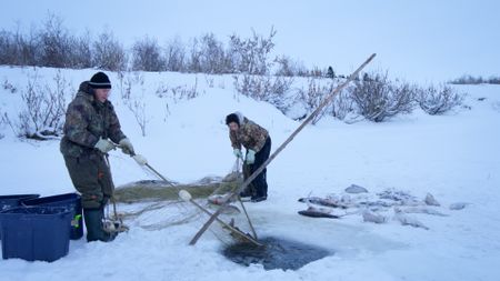 Chip Hailstone and his daughter, Carol pull their net out of the ice, full of fish. (BBC Studios/Dwayne Fowler)