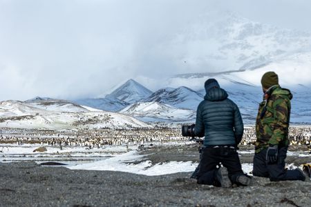 Camera operator Miguel Willis and Producer Director Anthony Pyper film penguins in South Georgia. (National Geographic for Disney/Robin Hoskyns)