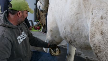 Dr. Ben Schroeder kneels down as he holds up Big Jake the horse's left hoof. (National Geographic)