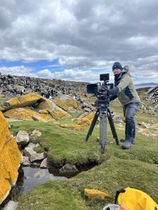 Camerawoman Erin Ranney filming a Rockhopper colony.  (credit: National Geographic/Marina Hui)