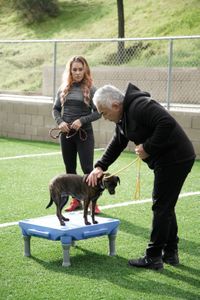 Jen and Cesar complete an exercise with Boss.   (National Geographic)