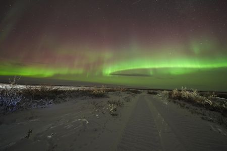 The aurora borealis seen across the sky at Sue's camp in Kavik. (BBC Studios Reality Productions, LLC/Jayce Kolinski)