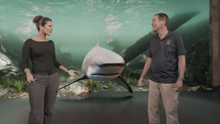 Dr. Diva Amon and Dr. Stephen Kajiura speaking in the shark studio lab with a GFX Bull Shark swimming between the two of them. (National Geographic)