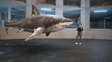 Dr. Diva Amon stood by a GFX Great White Shark whilst being stood in the shark studio lab. (National Geographic)
