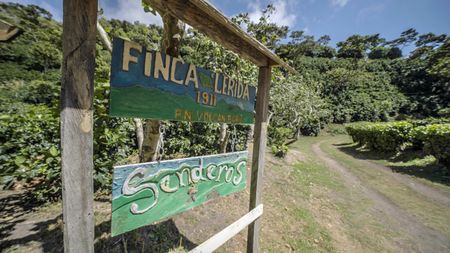 A colorful sign welcomes visitors to Finca Lerida, Chiriqui Province, Panama. (National Geographic for Disney/Missy Bania)