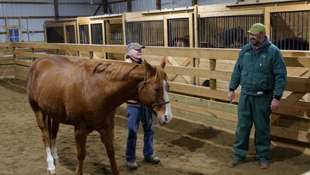 Logan McClelland stands by his horse Stylin' and discusses his care with Dr. Ben Schroeder. (National Geographic)