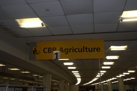 A sign that reads "CBP Agriculture" hangs from the ceiling at the JFK International Airport, in New York. (National Geographic)