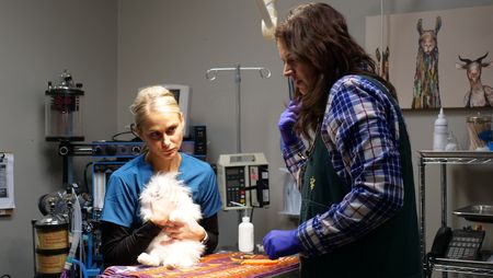 Val Sovereign snuggles Snowball the bunny after Dr. Erin Schroeder removed a pin from his cheek. (National Geographic)