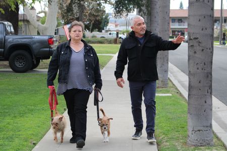 Malinda holding Lucy and Patches on leashes while walking with Cesar. (National Geographic)