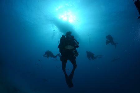 Crew photographers David Reichert and Nuno Sa swimming underwater. (National Geographic/James Loudon)