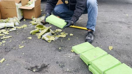 Multiple packages of suspected narcotics are pictured on the ground next to an HSI agent, after they were discovered smuggled inside of bags of frozen avocado paste in San Diego, Calif. (National Geographic)