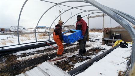 Marvin Agnot and Glyndaril White, Jr. rebuild their community greenhouse. (National Geographic)