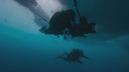 Ex-marine Aldo Kane and wildlife cinematographer David Reichert take a dive to explore the life inhabiting waters under the ice. (National Geographic)